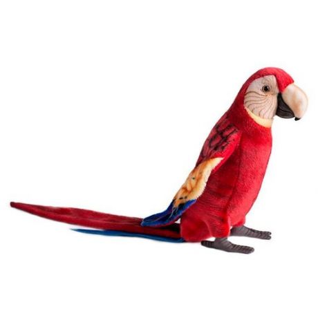 Попугай Ара красный 72 см