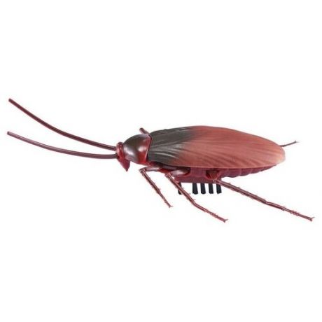 Робот ZURU Бегающий тараканище, коричневый