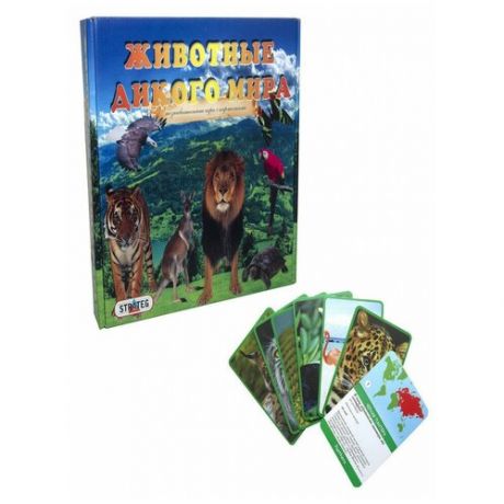 Обучающая игра Животные дикого мира / Развивающая игра / развивающие игры для детей, Стратег
