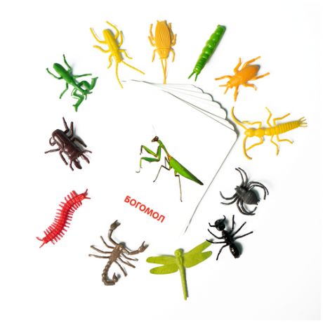 Zabiaka Развивающий набор с карточками по методике Домана "Мир насекомых