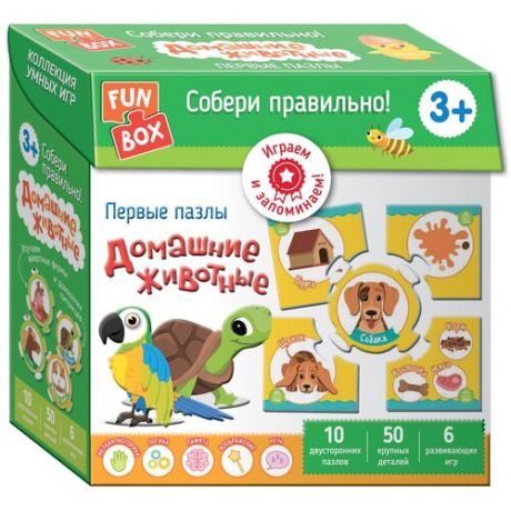 Развивающая игра FUN BOX Собери правильно! Домашние животные