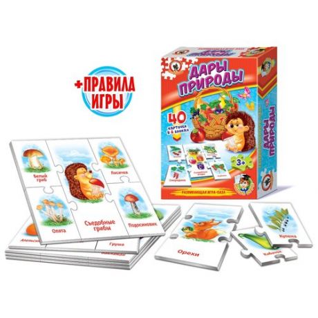 Развивающая игра "Дары природы