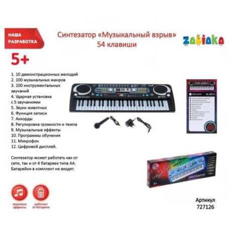 Синтезатор ZABIAKA (Забияка) "Музыкальный взрыв", 54 клавиши, работает от сети и от батареек (727126)