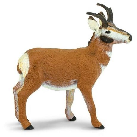 Вилорог фигурка игрушка размер 9,5 x 10 см серия Млекопитающие от 3 лет