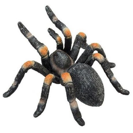 Фигурка Mojo Мексиканский красноколенный паук птицеед 387213, 4 см