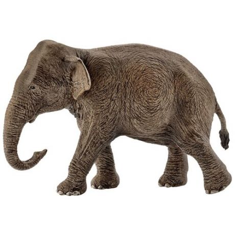 Schleich Фигурка Schleich 14753 Азиатский слон - самка 13 см