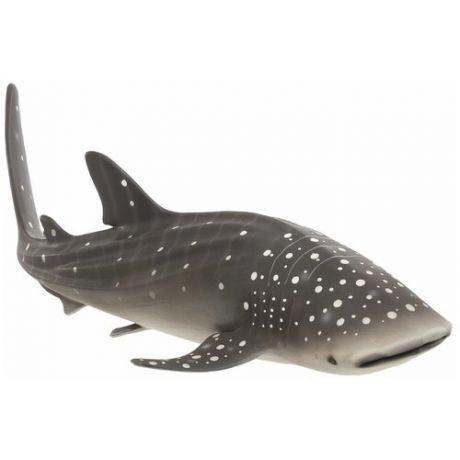 Mojo Китовая акула 387278