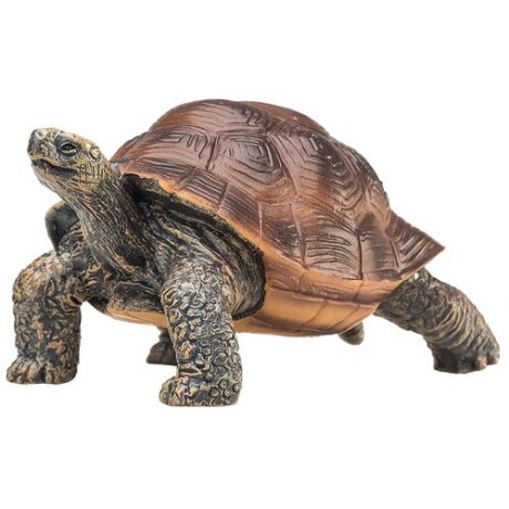 Фигурка Mojo (Animal Planet) в индивидуальной упаковке(S) - Гигантская черепаха (L)387259P