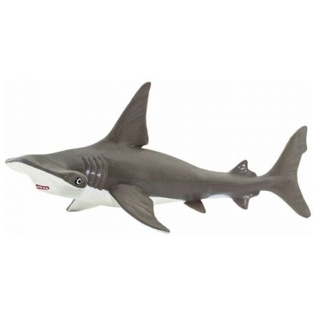 Фигурка Safari Ltd Детеныш акулы- молота, XL