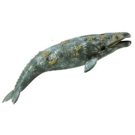 Фигурка Collecta Серый кит, XL 88836b