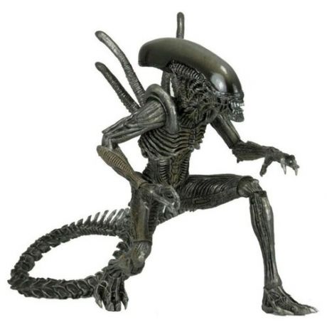 Фигурка Alien - Чужой AVP Warrior Alien (23 см)