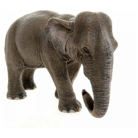 Фигурка Schleich Азиатский слон, самка