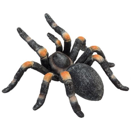 387213 Фигурка Mojo (Animal Planet)-Мексиканский красноколенный паук птицеед(M)