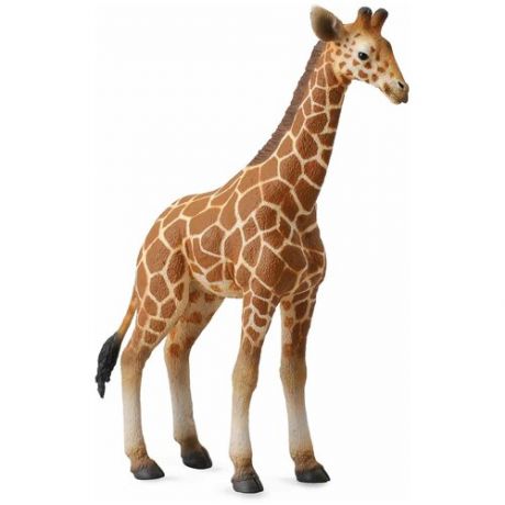 Фигурка Collecta Жеребенок сетчатого жирафа L 88535, 9 см