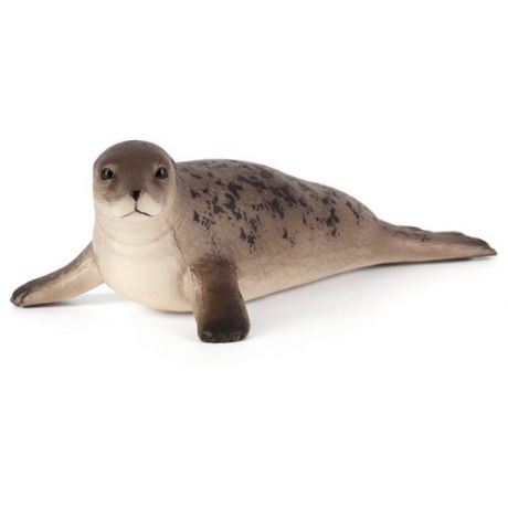 Фигурка Mojo Sealife Серый тюлень 387091, 3.2 см
