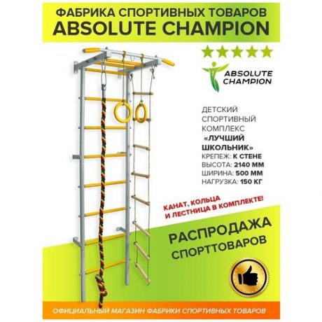 ДСК Лучший Школьник/Absolute Champion