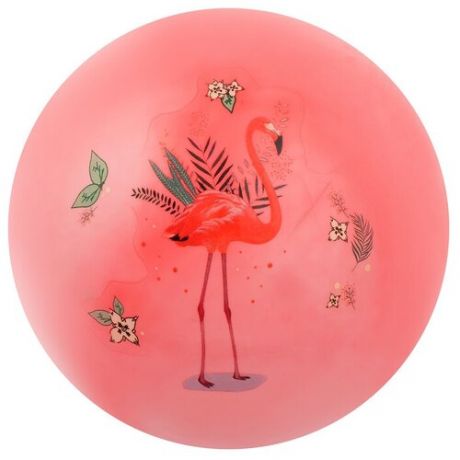 Мяч детский «Фламинго», d=22 см, 60 г, цвета микс