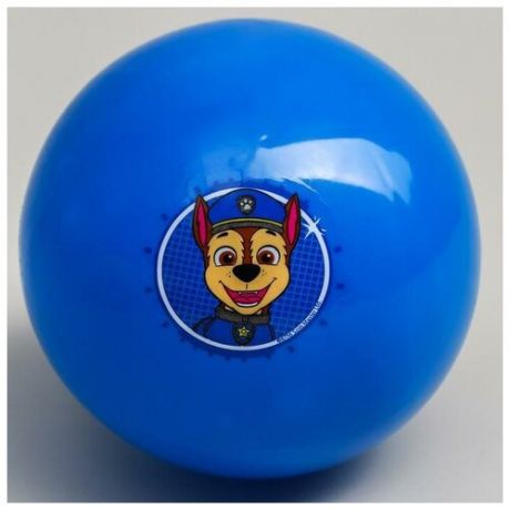 Мяч детский Paw Patrol "Гончик", 16 см, 50 гр, цвета микс