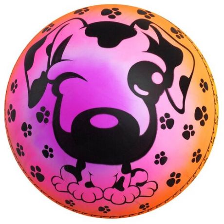 Мяч детский «Собачка», d=22 см, 70 г