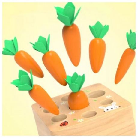 Сортерполяна морковок