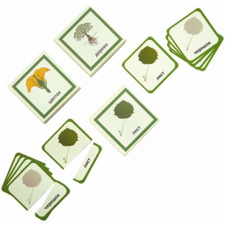 Монтессори игрушки / Монтессори для малышей /Трехчастные карточки «Растения-1