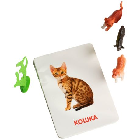 Zabiaka Развивающий набор с карточками по методике Домана "Домашние животные
