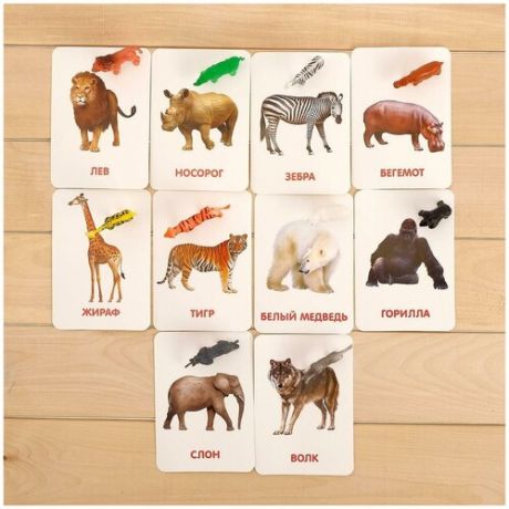 Развивающий набор с карточками "Дикие животные", по методике Домана