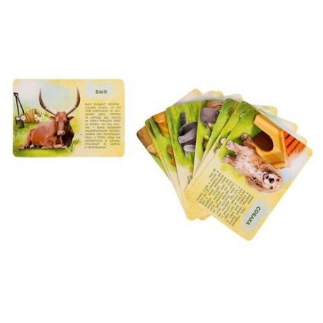 IQ-ZABIAKA Набор животных с обучающими карточками «Фермерское хозяйство», животные пластик, карточки, по методике Монтессори