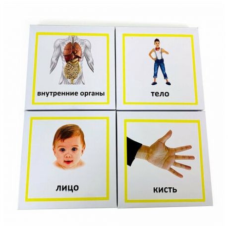 Монтессори игрушки / Монессори для малышей / Трехчастные карточки «Строение человека