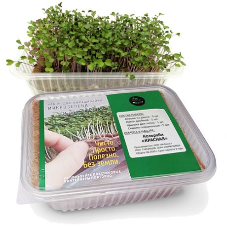 Кольраби "Красная" - набор для выращивания микрозелени