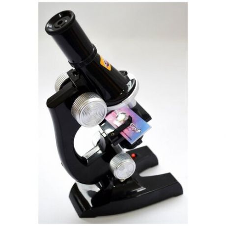 Микроскоп детский на батарейках, в коробке (C2119)
