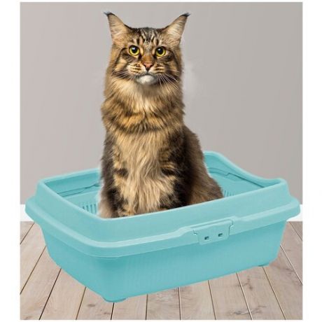 Большой лоток для кошек с бортом и сеткой / кошачий туалет / для животных / высокий борт / ментоловый