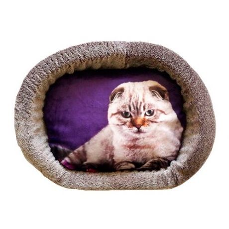 Лежак для кошек PerseiLine Дизайн № 3 принт 4 овальный 49 х 33 х 16 см (1 шт)