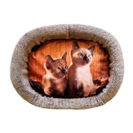 Лежак для кошек PerseiLine Дизайн № 3 принт 20 овальный 44 х 33 х 16 см (1 шт)