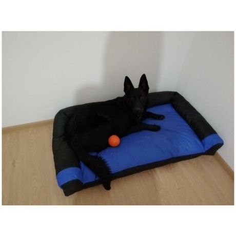 Диван-лежак антивандальный для собак очень крупных пород 120*70см Blue / black