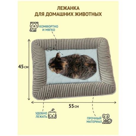 Лежак для домашних животных ZES, прямоугольная лежанка для собак и кошек с бортиками, голубого цвета, размер 55х45 см