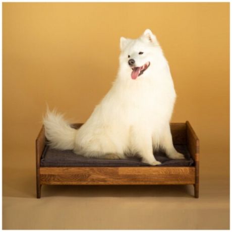 Диван лежак для собак и кошек крупных пород "DIVAN" натуральный массив дуба цвета "Графит" со съемным чехлом, 92 Х 59 см