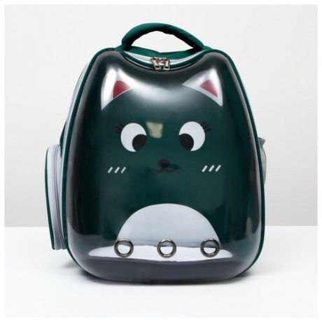 Рюкзак для переноски животных "Котик", прозрачный, 34 x 25 x 40 см, зелёный