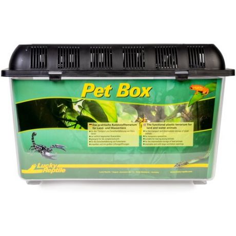 LUCKY REPTILE Переноска для рептилий "Pet Box Small", 20.5x20.5x17см (Германия)