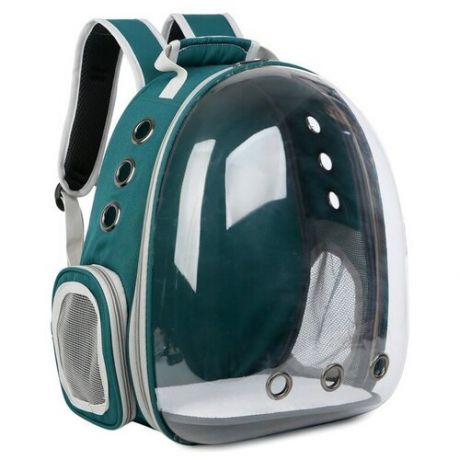 Прозрачный рюкзак переноска для домашних животных (кошка, маленькая собачка) Иллюминатор с вентиляцией для воздуха, зелёный