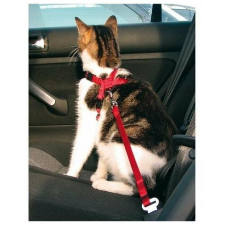 Trixie Автомобильный ремень безопасности со шлейкой для кошки, Trixie 1294