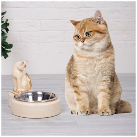Подставка с мисками для кошек и собак BOGACHO Лакшери Мур кремовая