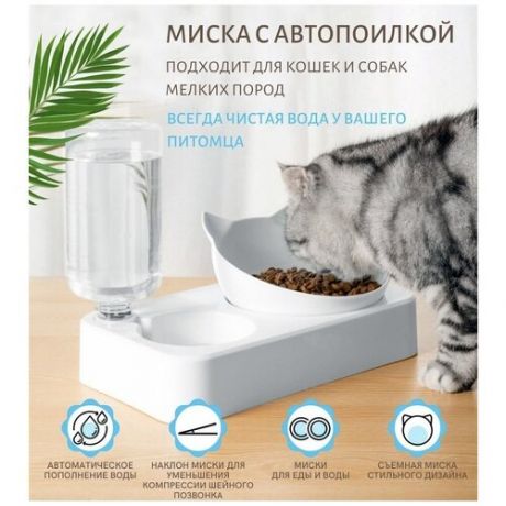 Двойная миска для животных на подставке для воды и корма / Миска с чашей под наклоном Zurkibet