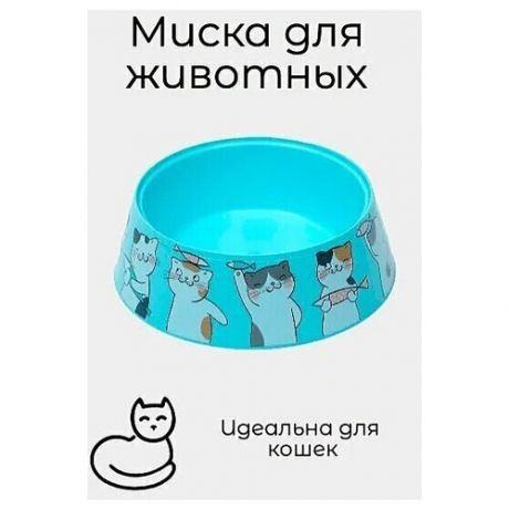 Миска "Мур-мяу" для кошек, 0.3 л, голубая, пластиковая, с котами