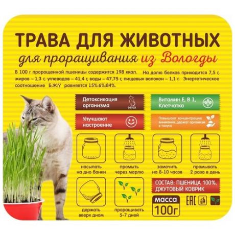 Трава для кошек в лотке/для проращивания/трава для собак, грызунов/контейнер/пшеница для вывода шерст