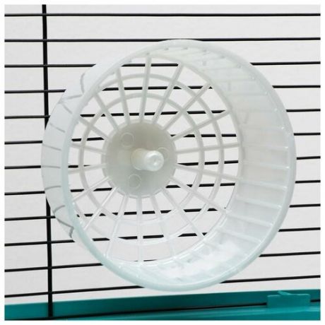 Колесо для грызунов пластиковое, без подставки, 14,5 см, белый перламутр