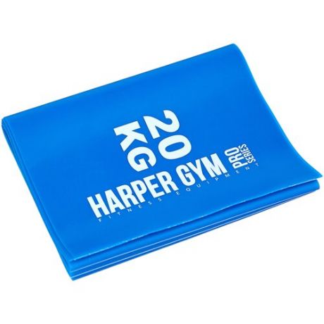 Эспандер Harper Gym NT18002 Blue 356160