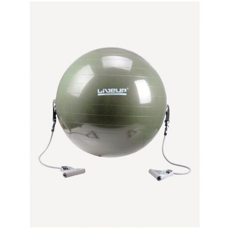 Фитбол И Эспандер Liveup Gym Ball With Expander Ls3227 65См
