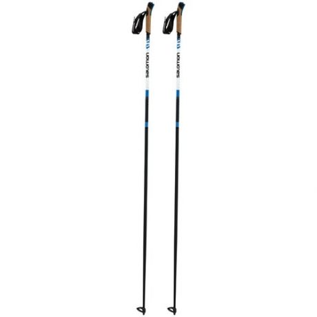 Лыжные палки Salomon R 60 Click, 165 см, черный