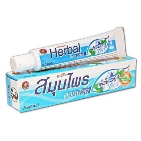 Зубная паста с травами свежесть и прохлада Twin Lotus Herbal toothpaste fresh&cool